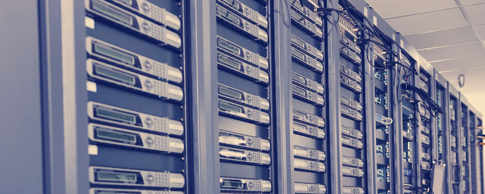 101 Keys Website Management Web Hosting Tech Support