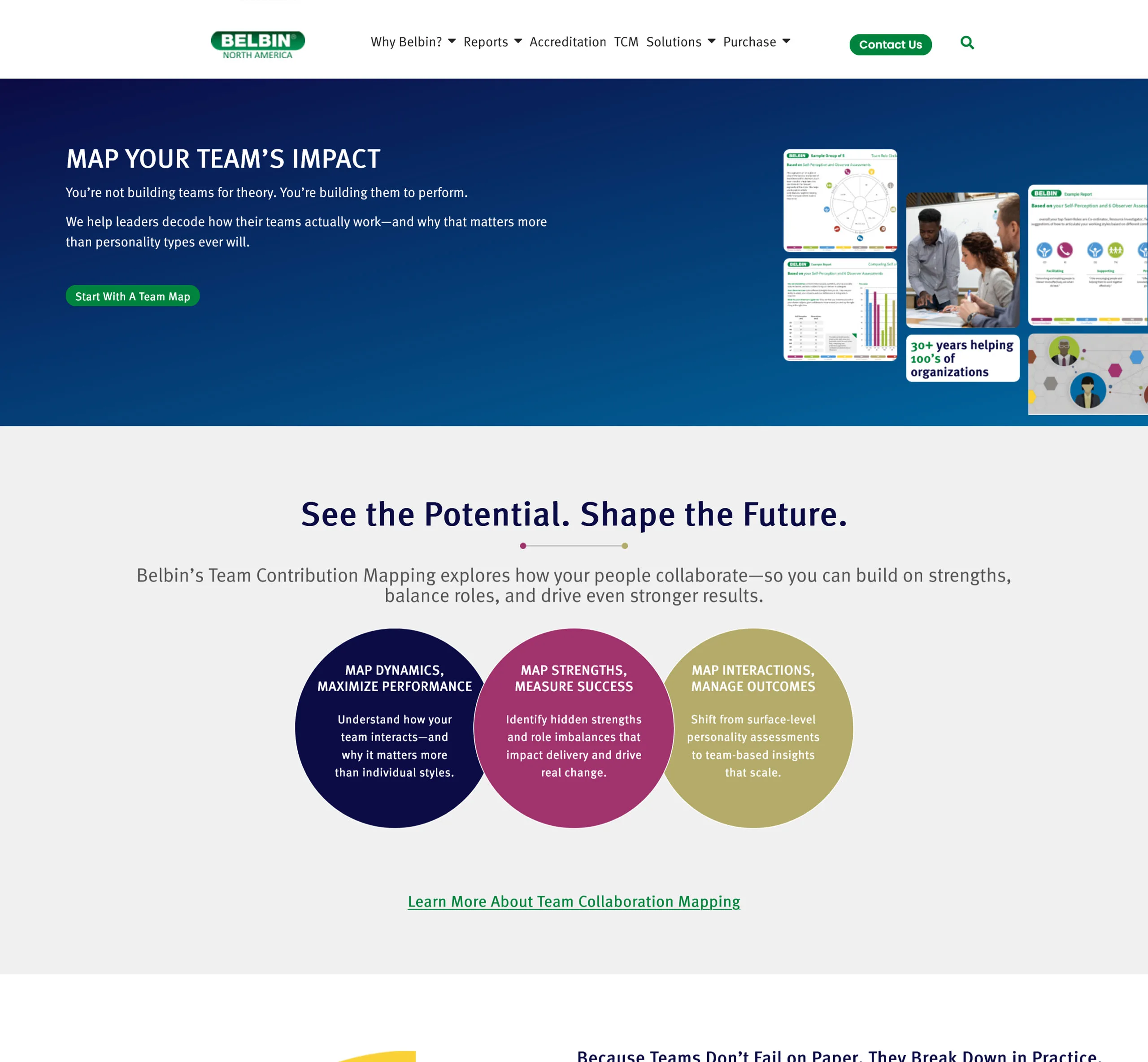 Belbin North America Desktop 1