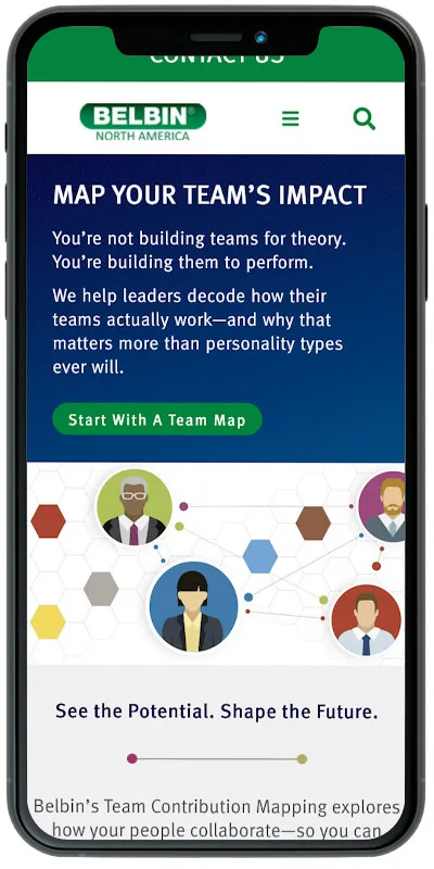 Belbin North America Phone 1