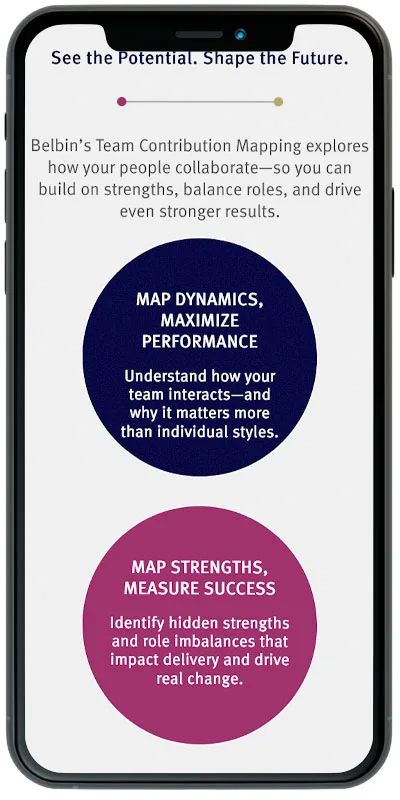 Belbin North America Phone 2