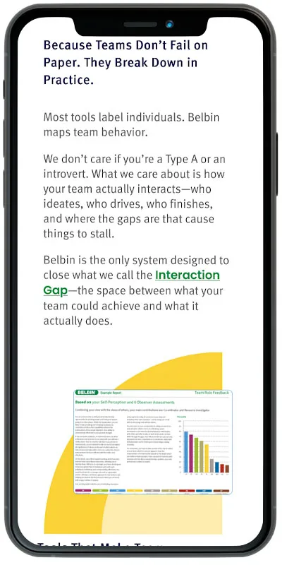 Belbin North America Phone 3